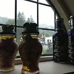 奥斯特罗伊小型酒店